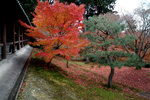 DSCF4893b