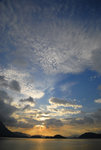 D22_3620a