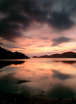 Dawn60481b
