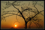 Sunfall52676