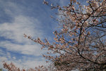 D23_0964a