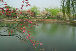 WUXI
D23_1704aa