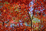 D22_7926a