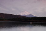 D22_8221a