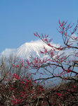 DSCF54204a