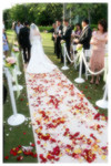 coverpage2