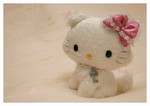 
2004.10.5 - �ש󦬨�F�T�ܳ��w��charmmy kitty���J�M�|�ߥs���O�T