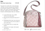 Dior Camera Bag