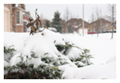 �U���F�T