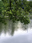 DSCF0427