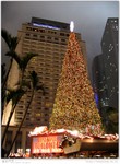IMG_0827_20041223