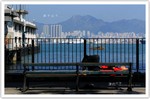 IMG_8087