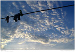 IMG_5031_20050619