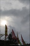 IMG_7329