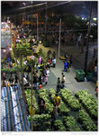 IMG_3217_20050206