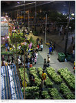 IMG_3217_20050206