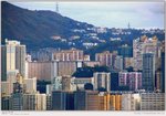 IMG_4042_20050228