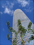 IMG_2478