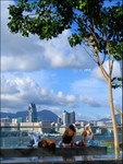 IMG_2479
