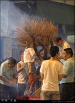 IMG_6466