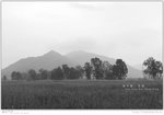 IMG_6464_20050327