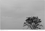 IMG_6483_20050327