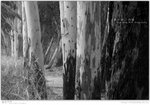 IMG_6502_20050327