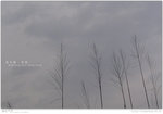 IMG_6508_20050327