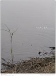 IMG_6521_20050327