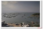 _MG_8494