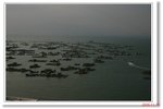 IMG_8336
