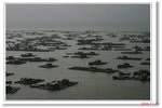 IMG_8338