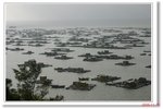 IMG_8339