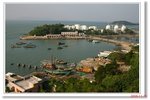 IMG_8341