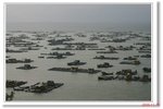 IMG_8344