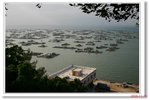 IMG_8345
