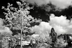angkor960-019