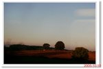 _MG_5568
