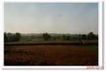 _MG_5575