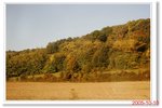 _MG_5584