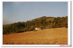 _MG_5586