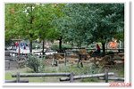 _MG_2432