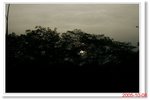 _MG_3815