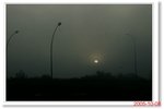_MG_3816