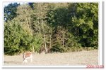 _MG_0820