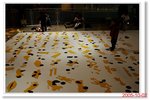 _MG_0681