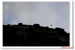 _MG_6764