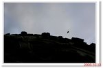 _MG_6765