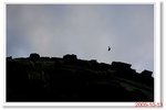 _MG_6766