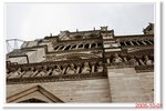 _MG_0084